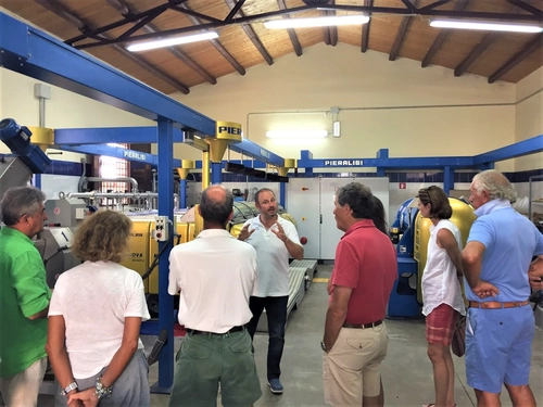 Olive Oil Tasting & Historic Olive Mill Tour in Ragusa area