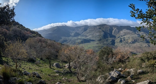 Between Waves and Peaks