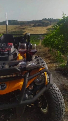 Quad Tour in Winery