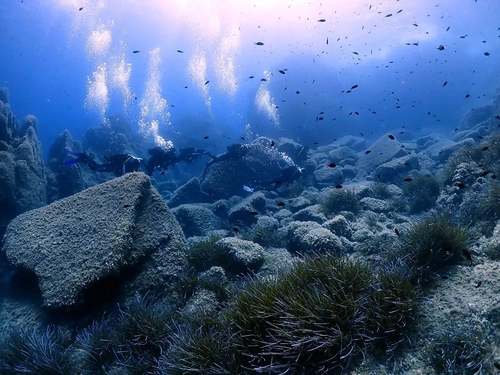 PADI Diving Courses / Reactivate