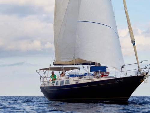 Sail Barcelona: Sea, Sun, and Mediterranean Flavors