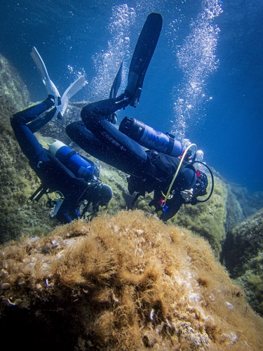 Scuba Diving at Maddalena Park