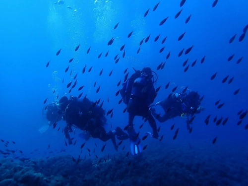Double Dive (Long Distance)