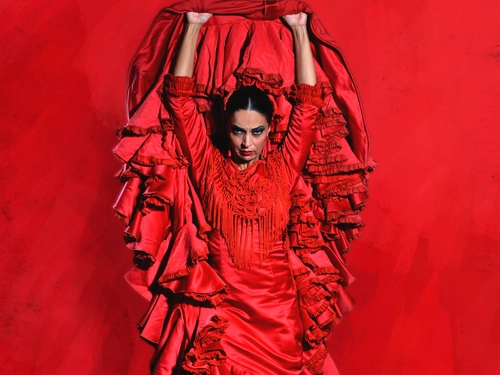 Flamenco Theatre Granada - Show in the heart of the city