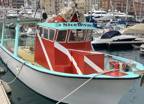 Nice: VIP sea tour around our coastlines, with beautiful scenery and opportunities to practice snorkeling or scuba diving...