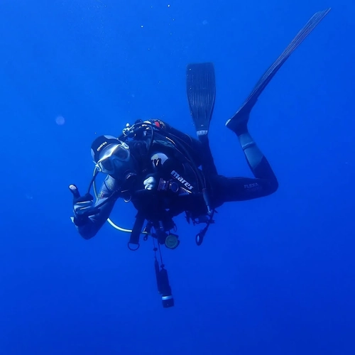 The Unique Beauty of the Gallura Seabeds (Single Dive)